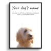 Cockapoo personalised dog print painting. Framed & un-framed wall art 1 dog paintings prints cockapoo front view white