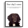Cocker Spaniel personalised dog print painting. Framed & un-framed wall art 1 dog paintings prints cocker spaniel front view white