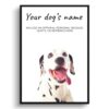 Dalmatian personalised dog print painting. Framed & un-framed wall art 1 dog paintings prints dalmatian front view white
