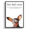 Doberman personalised dog print painting. Framed & un-framed wall art 1 dog paintings prints doberman front view white