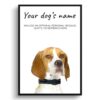 dog paintings prints english pointer front view white
