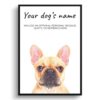 dog paintings prints french bulldog front view white