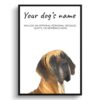 Great Dane personalised dog print painting. Framed & un-framed wall art 1 dog paintings prints great dane front view white