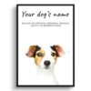 dog paintings prints jack russel front view white