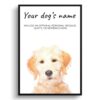 Labradoodle personalised dog print painting. Framed & un-framed wall art 1 dog paintings prints labradoodle front view white