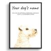 Lakeland Terrier personalised dog print painting. Framed & un-framed wall art 1 dog paintings prints lakeland terrier front view white