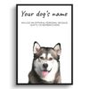 Malamute personalised dog print painting. Framed & un-framed wall art 1 dog paintings prints malamute front view white