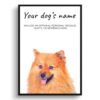 dog paintings prints pomeranian front view white