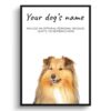 Shetland Sheepdog personalised dog print painting. Framed & un-framed wall art