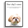 Shih tzu personalised dog print painting. Framed & un-framed wall art 1 dog paintings prints shih tzu front view white