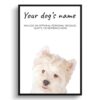 Westie personalised dog print painting. Framed & un-framed wall art 1 dog paintings prints westie front view white