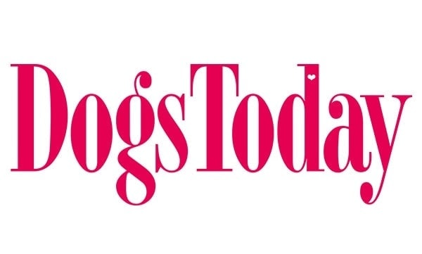 dogs t