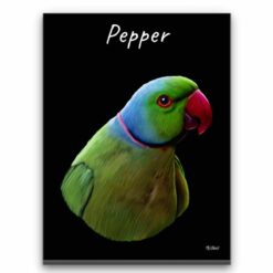 Custom Bird painting portrait canvas print - Personalised portrait of your pet from a photo 25 personalised pet portrait canvas bird painting black front view white