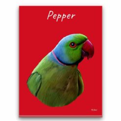 Custom Bird painting portrait canvas print - Personalised portrait of your pet from a photo 32 personalised pet portrait canvas bird painting red front view white
