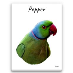 Custom Bird painting portrait canvas print - Personalised portrait of your pet from a photo 24 personalised pet portrait canvas bird painting white front view white
