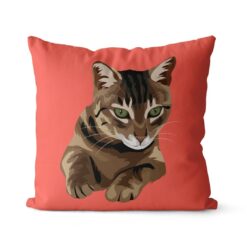 personalised pet portrait cushion cat illustration coral