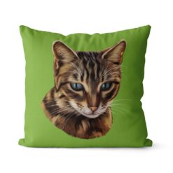 Custom Cat painting portrait throw pillow - Personalised cushion portrait of your pet from a photo 25 personalised pet portrait cushion cat painting green