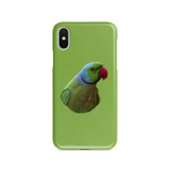 personalised pet portrait phone case bird painting green