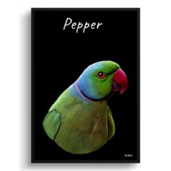 Custom Bird painting portrait print - Framed & un-framed personalised portrait of your pet 27 personalised pet portrait prints bird painting black