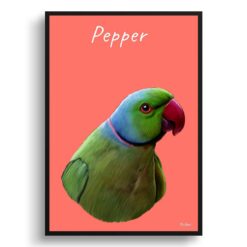 Custom Bird painting portrait print - Framed & un-framed personalised portrait of your pet 28 personalised pet portrait prints bird painting coral