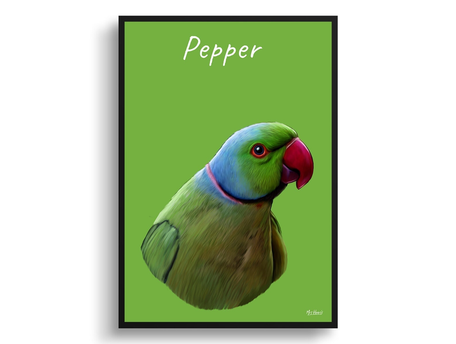 Custom Bird painting portrait print - Framed & un-framed personalised portrait of your pet 12 Custom Bird painting portrait print - Framed & un-framed personalised portrait of your pet - Image 11
