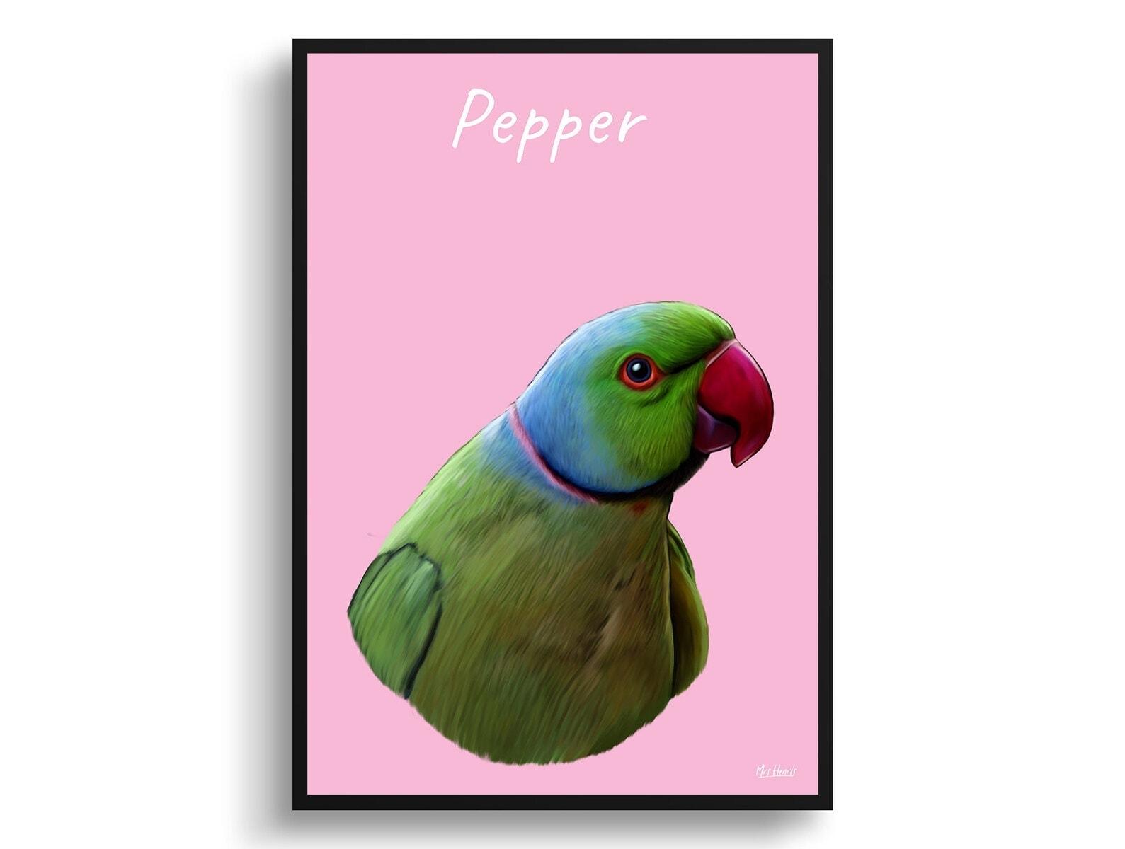 Custom Bird painting portrait print - Framed & un-framed personalised portrait of your pet 15 Custom Bird painting portrait print - Framed & un-framed personalised portrait of your pet - Image 14