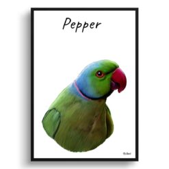 Custom Bird painting portrait print - Framed & un-framed personalised portrait of your pet 36 personalised pet portrait prints bird painting white