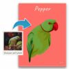Custom Bird illustration portrait canvas print - Personalised portrait of your pet from a photo 1 photo to personalised pet portrait canvas bird illustration