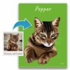 photo to personalised pet portrait canvas cat illustration