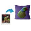 Custom Bird painting portrait throw pillow - Personalised cushion portrait of your pet from a photo 2 photo to personalised pet portrait cushion bird painting
