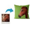 Custom Horse illustration portrait throw pillow - Personalised cushion portrait of your pet from a photo 1 photo to personalised pet portrait cushion horse illustration