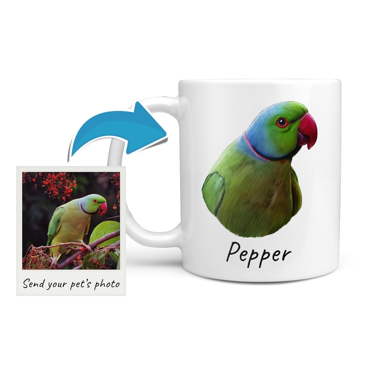 Custom Bird painting portrait mug - Personalised coffee mug portrait of your pet from a photo 3 Custom Bird painting portrait mug - Personalised coffee mug portrait of your pet from a photo