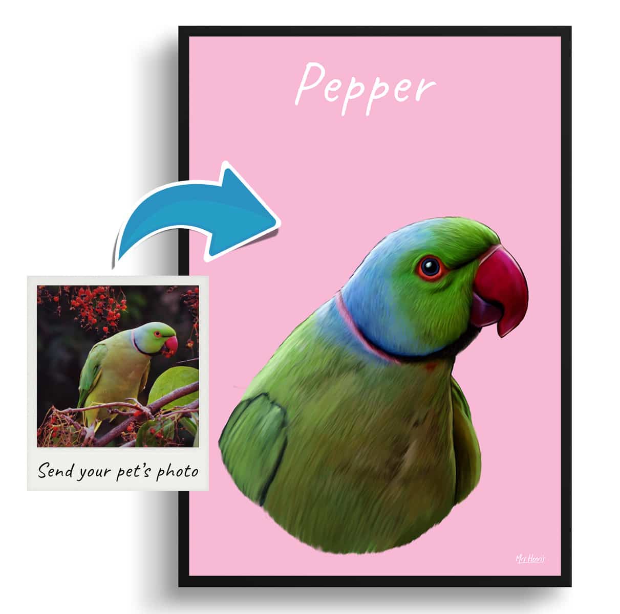 Custom Bird painting portrait print - Framed & un-framed personalised portrait of your pet 2 Custom Bird painting portrait print - Framed & un-framed personalised portrait of your pet