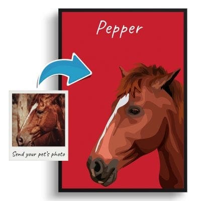photo to personalised pet portrait print horse illustration