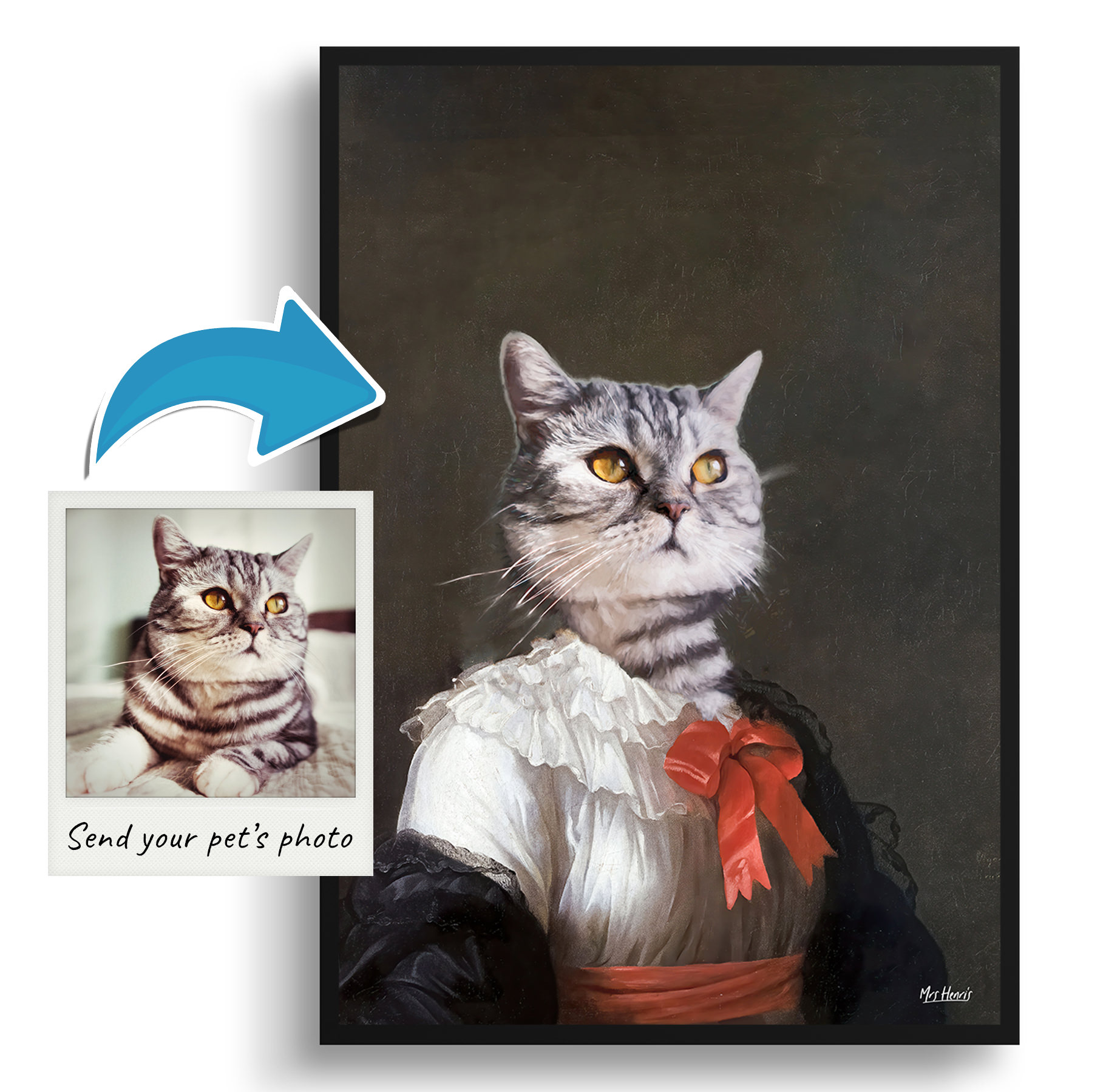 The Baroness - Renaissance Cat portrait from photo - Framed & un-framed print 3 The Baroness - Renaissance Cat portrait from photo - Framed & un-framed print