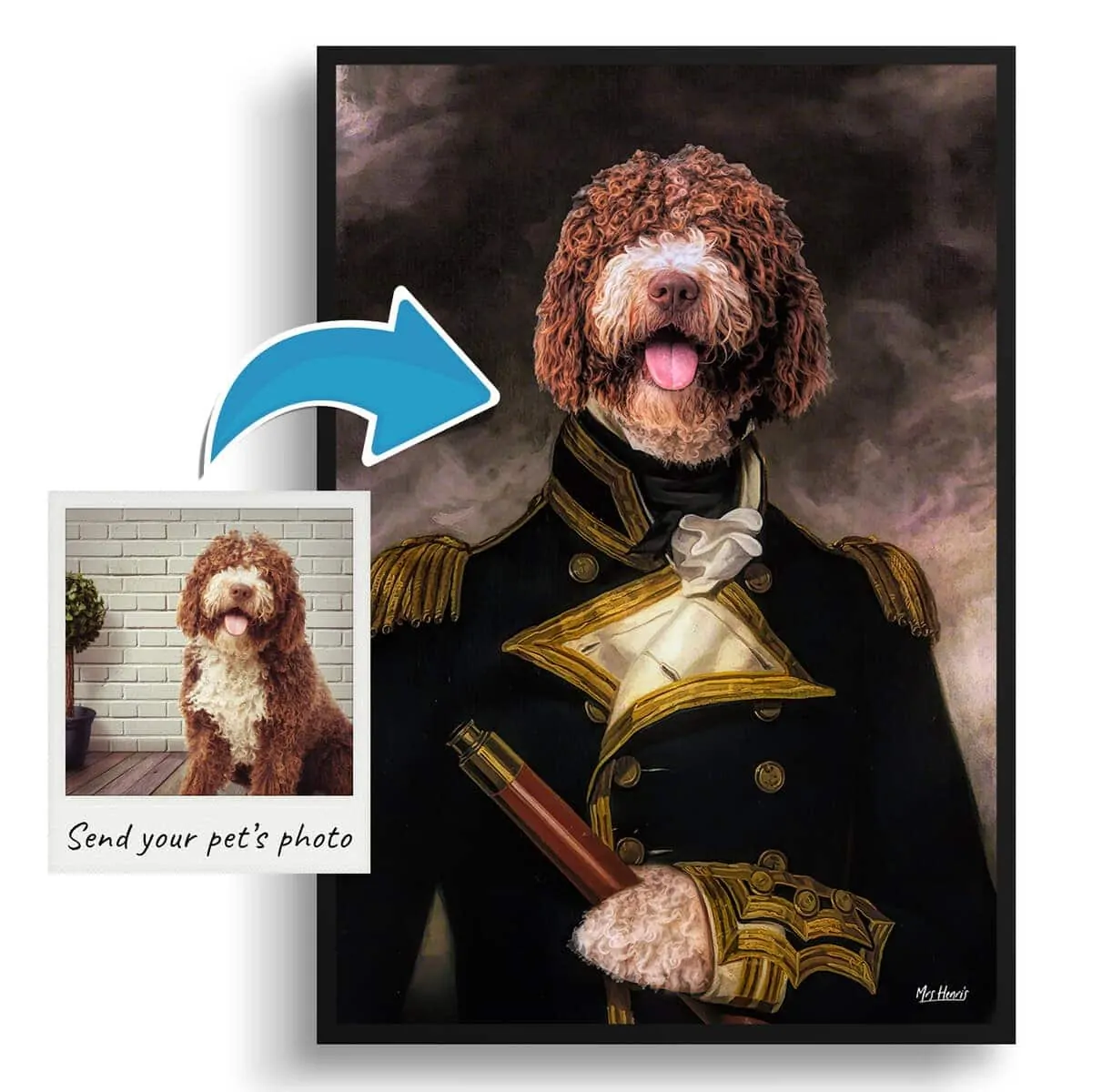The Captain - Renaissance Dog portrait from photo - Framed & un-framed print