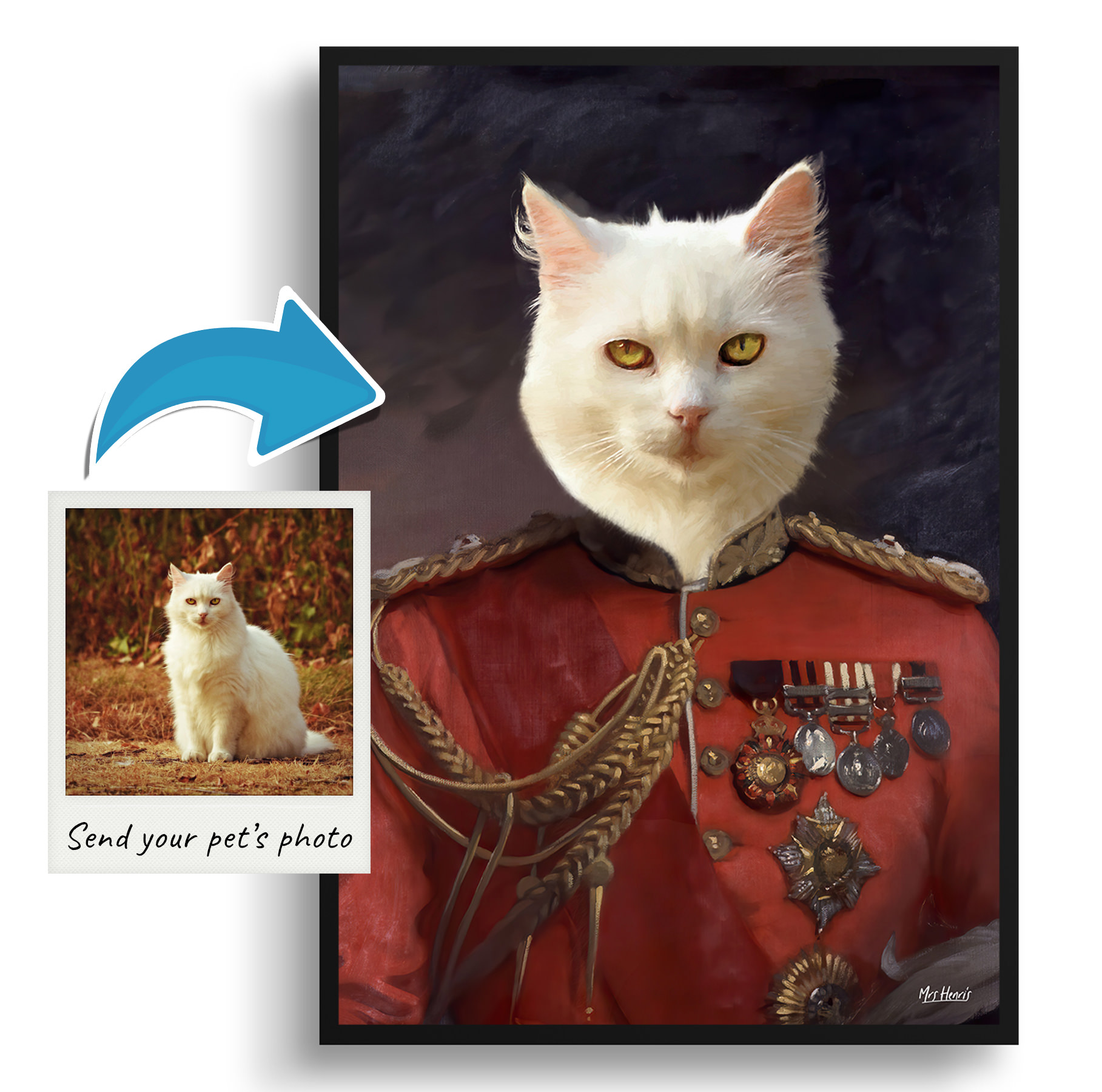 The Imperialist - Renaissance Cat portrait from photo - Framed & un-framed print 3 The Imperialist - Renaissance Cat portrait from photo - Framed & un-framed print