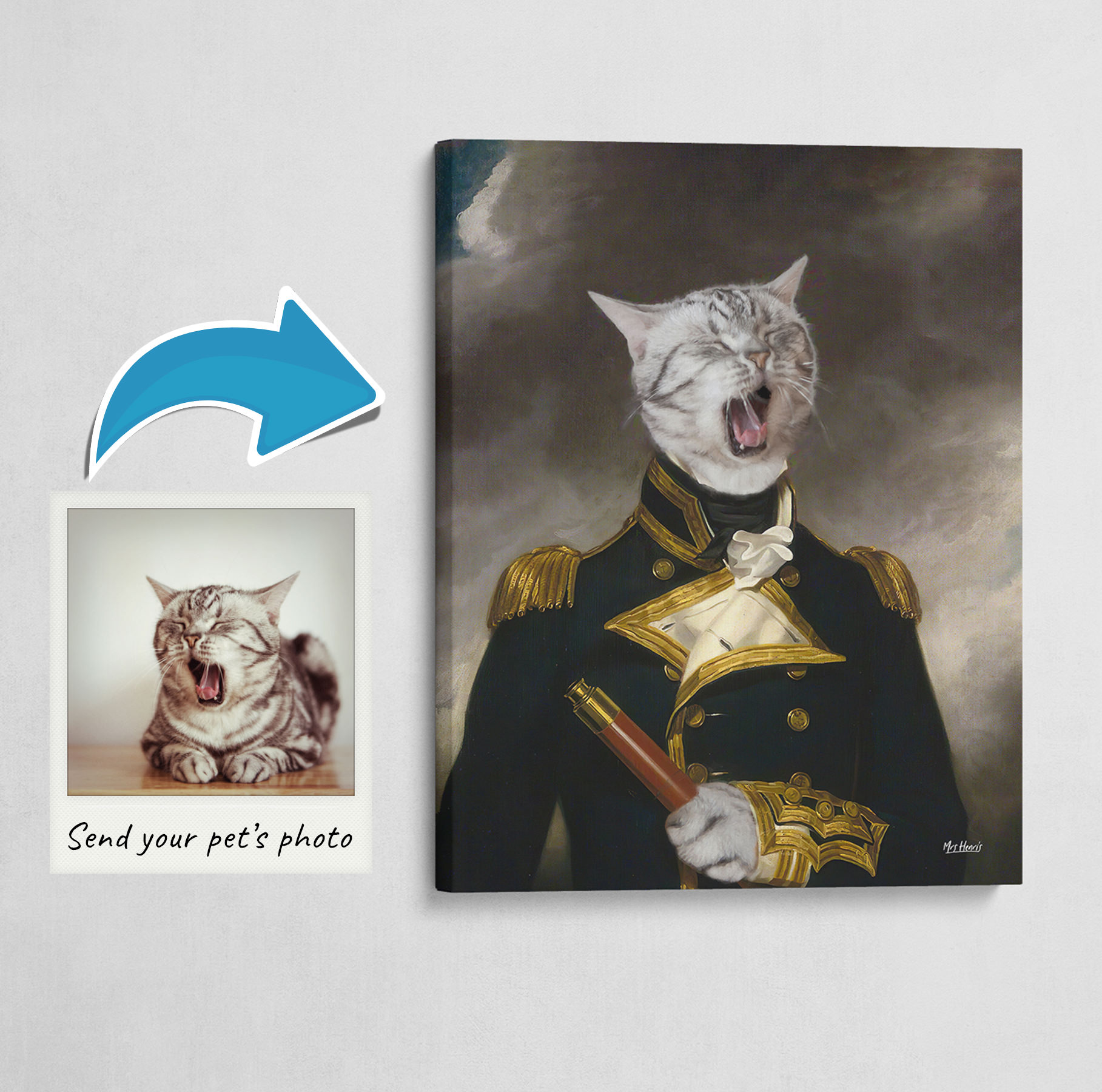 The Captain - Renaissance Cat canvas portrait from photo 3 The Captain - Renaissance Cat canvas portrait from photo
