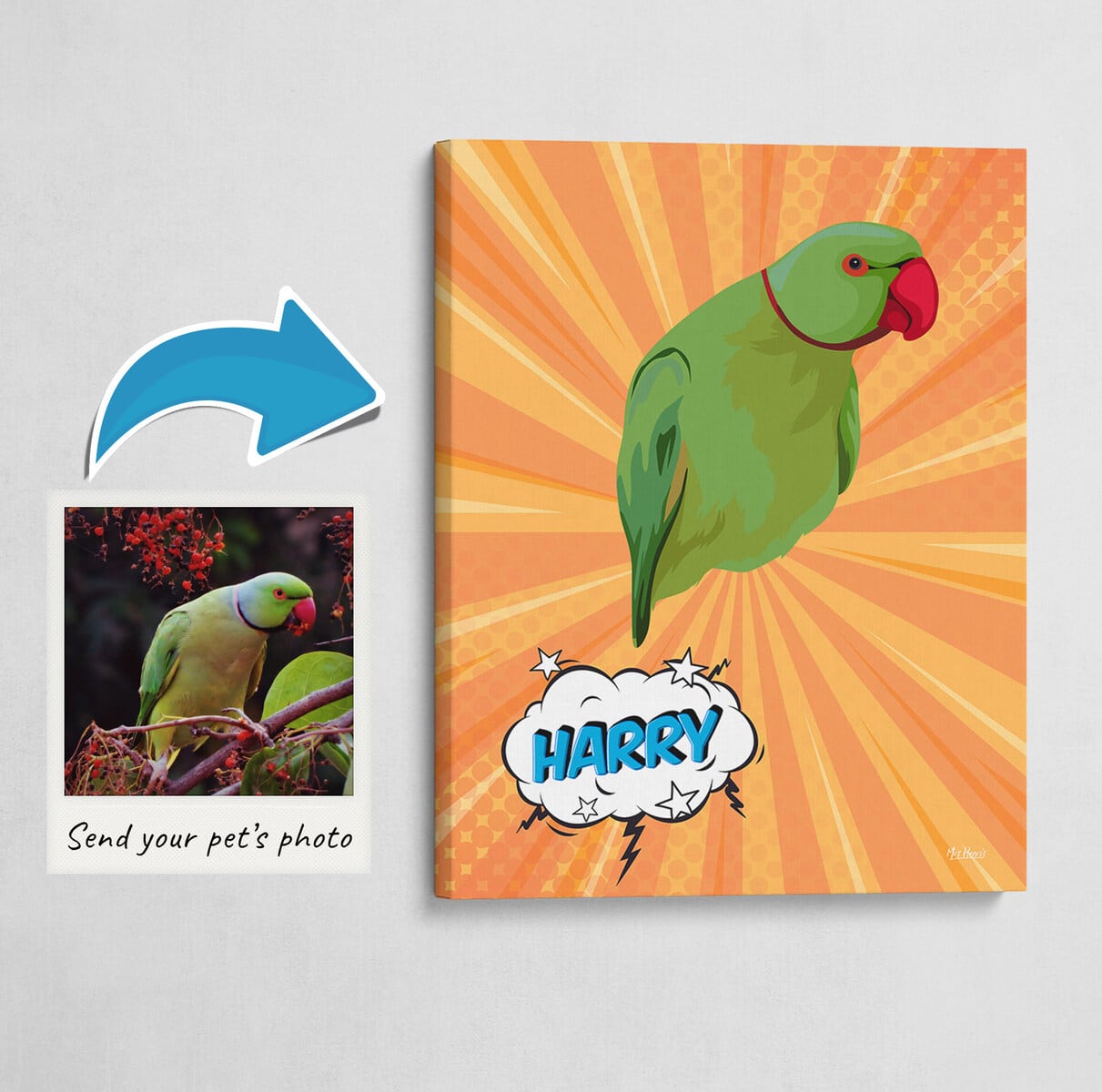 Custom Pop Art Style Bird Portrait - Pet illustration from photo - Orange blast Canvas 3 Custom Pop Art Style Bird Portrait - Pet illustration from photo - Orange blast Canvas