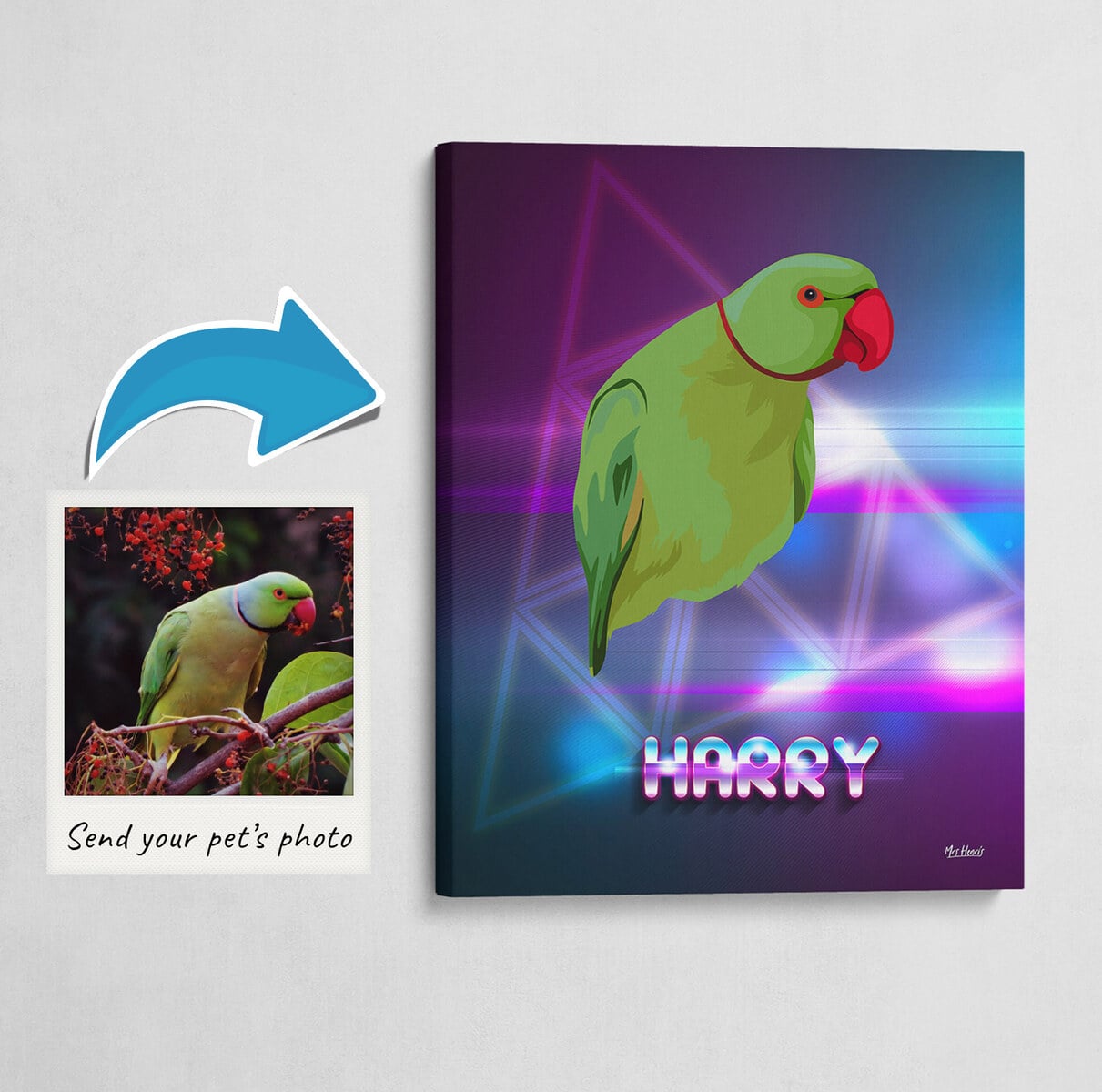 Custom Retro Arcade Style Bird Portrait - Pet illustration from photo - Fever Canvas 3 Custom Retro Arcade Style Bird Portrait - Pet illustration from photo - Fever Canvas