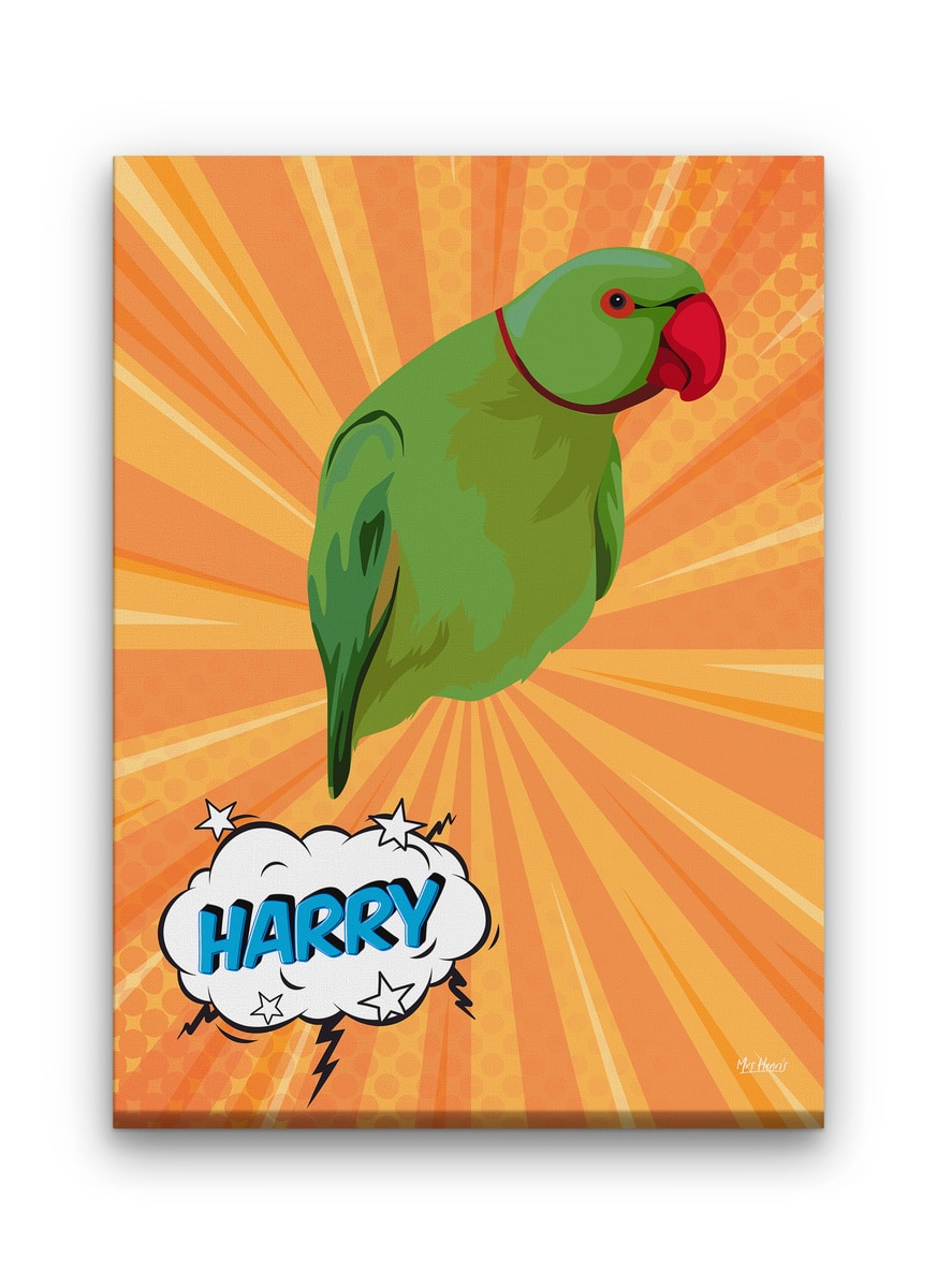 Custom Pop Art Style Bird Portrait - Pet illustration from photo - Orange blast Canvas 9 Custom Pop Art Style Bird Portrait - Pet illustration from photo - Orange blast Canvas - Image 7