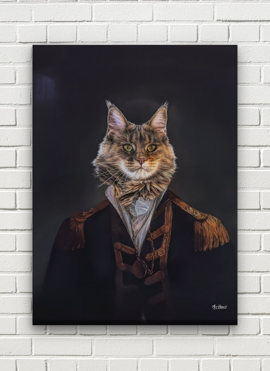 The Commander - Renaissance Cat canvas portrait from photo 8 The Commander - Renaissance Cat canvas portrait from photo - Image 6