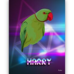 Custom Retro Arcade Style Bird Portrait - Pet illustration from photo - Fever Canvas 18 retro arcade pet portrait illustrations bird fever front view white