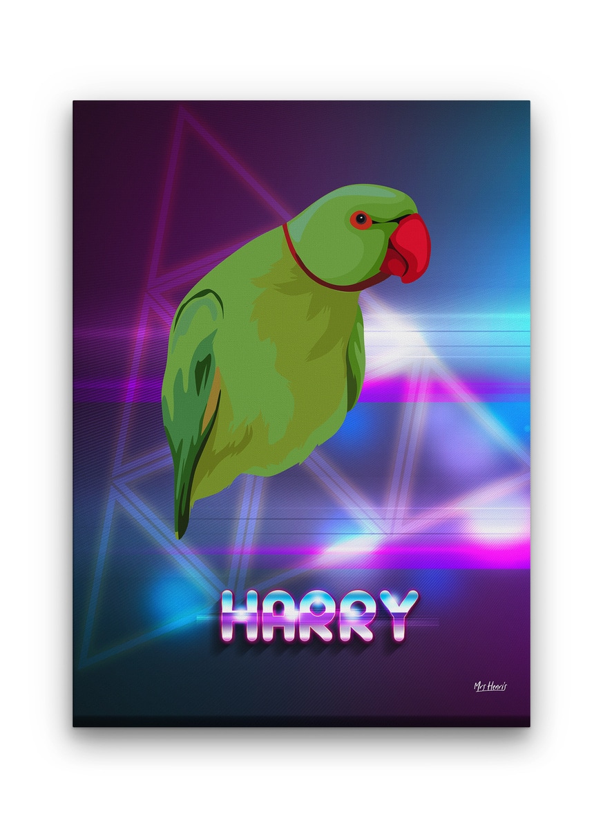 Custom Retro Arcade Style Bird Portrait - Pet illustration from photo - Fever Canvas 9 Custom Retro Arcade Style Bird Portrait - Pet illustration from photo - Fever Canvas - Image 7