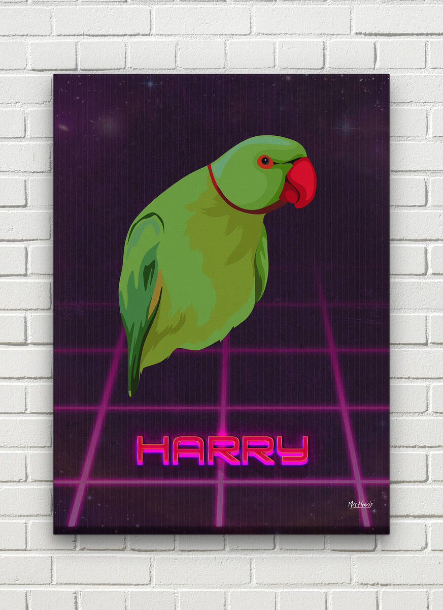 Custom Retro Arcade Style Bird Portrait - Pet illustration from photo - Invaders Canvas 8 Custom Retro Arcade Style Bird Portrait - Pet illustration from photo - Invaders Canvas - Image 6