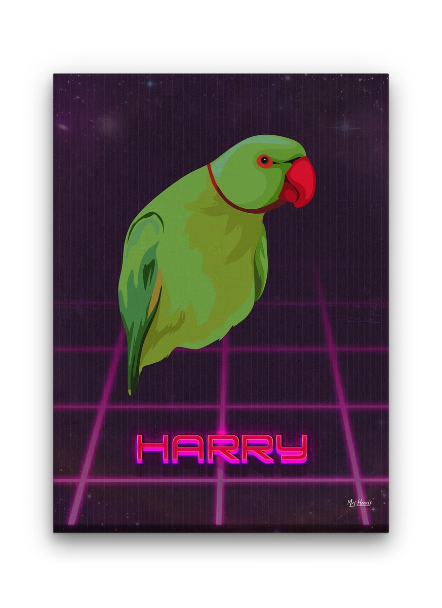Custom Retro Arcade Style Bird Portrait - Pet illustration from photo - Invaders Canvas 9 Custom Retro Arcade Style Bird Portrait - Pet illustration from photo - Invaders Canvas - Image 7