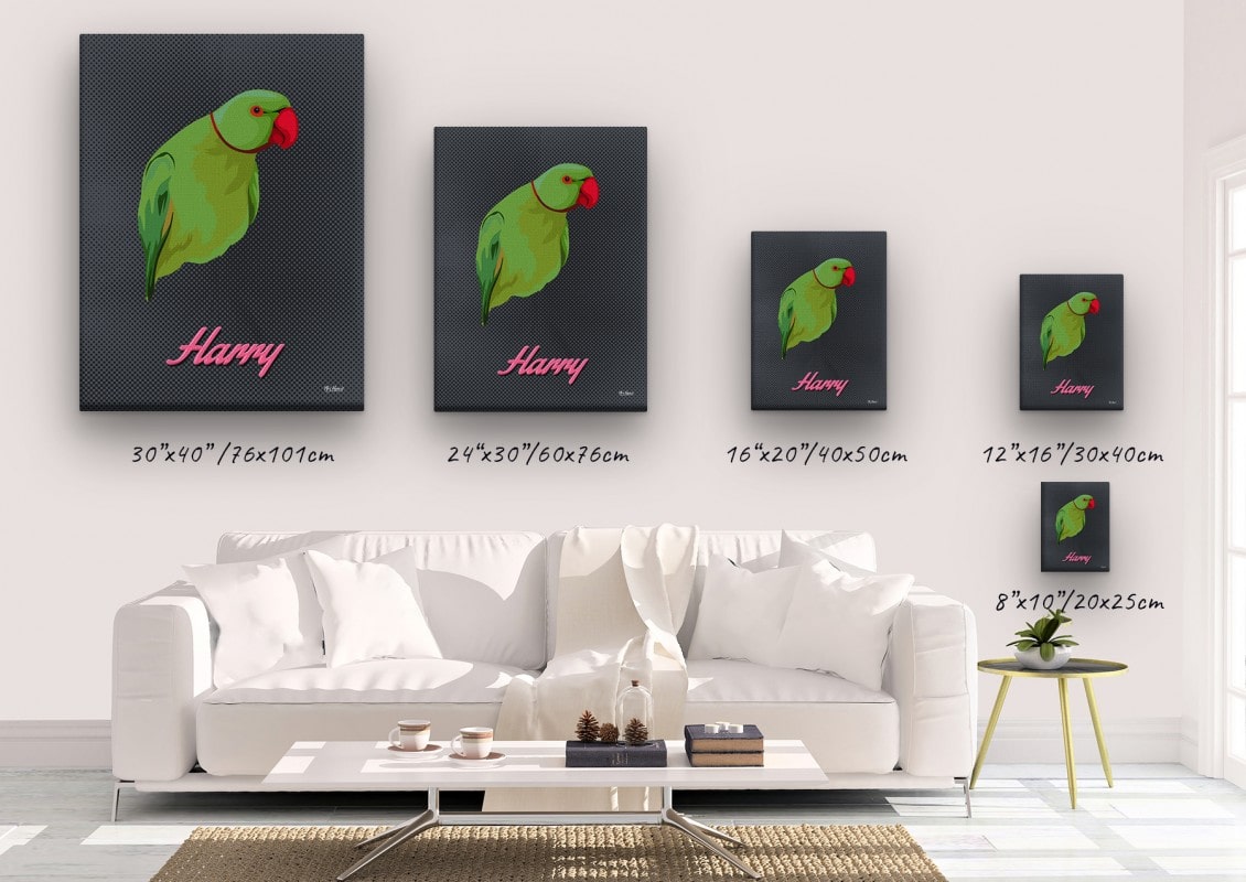 retro pet portrait illustrations bird bubblegum canvas size comparison