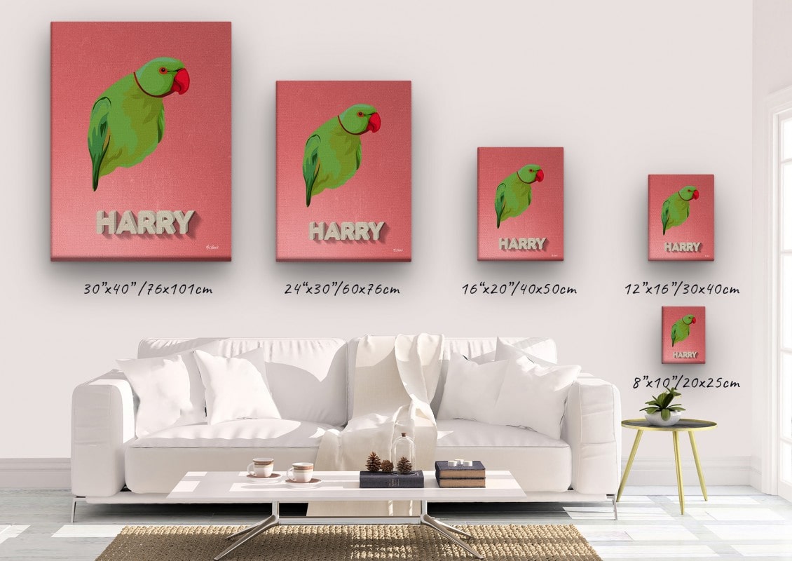 retro pet portrait illustrations bird decking canvas size comparison
