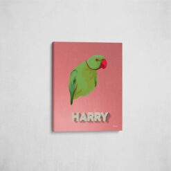 retro pet portrait illustrations bird decking front view angled wall