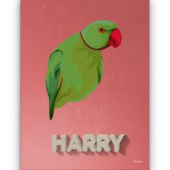 retro pet portrait illustrations bird decking front view white